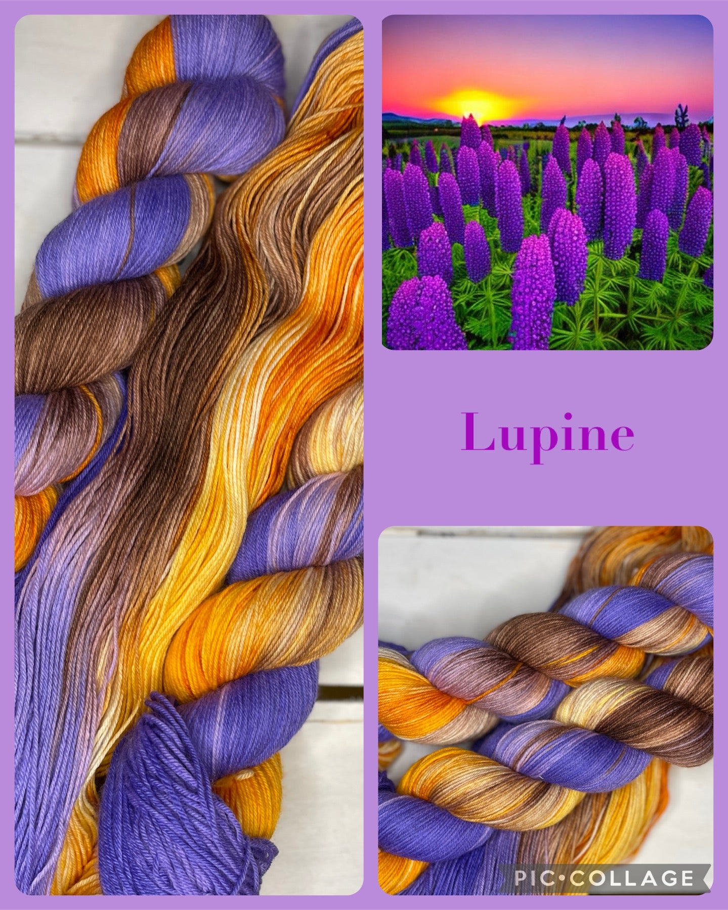 Lupins, purple and orange