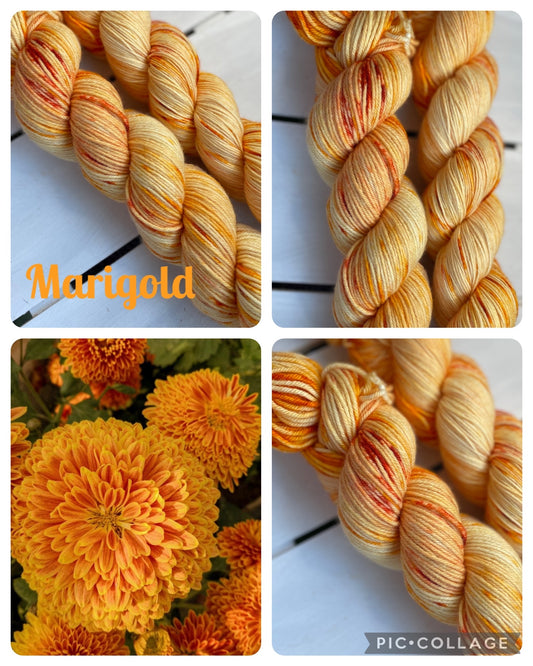 Marigold, superwash merino wool