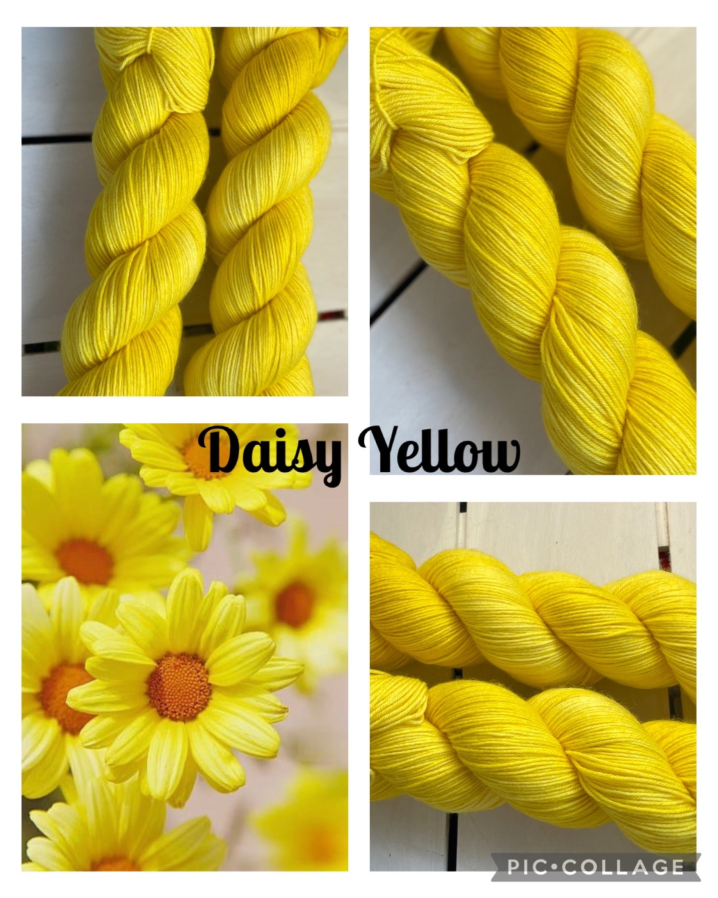 Daisy Yellow, superwash merino wool