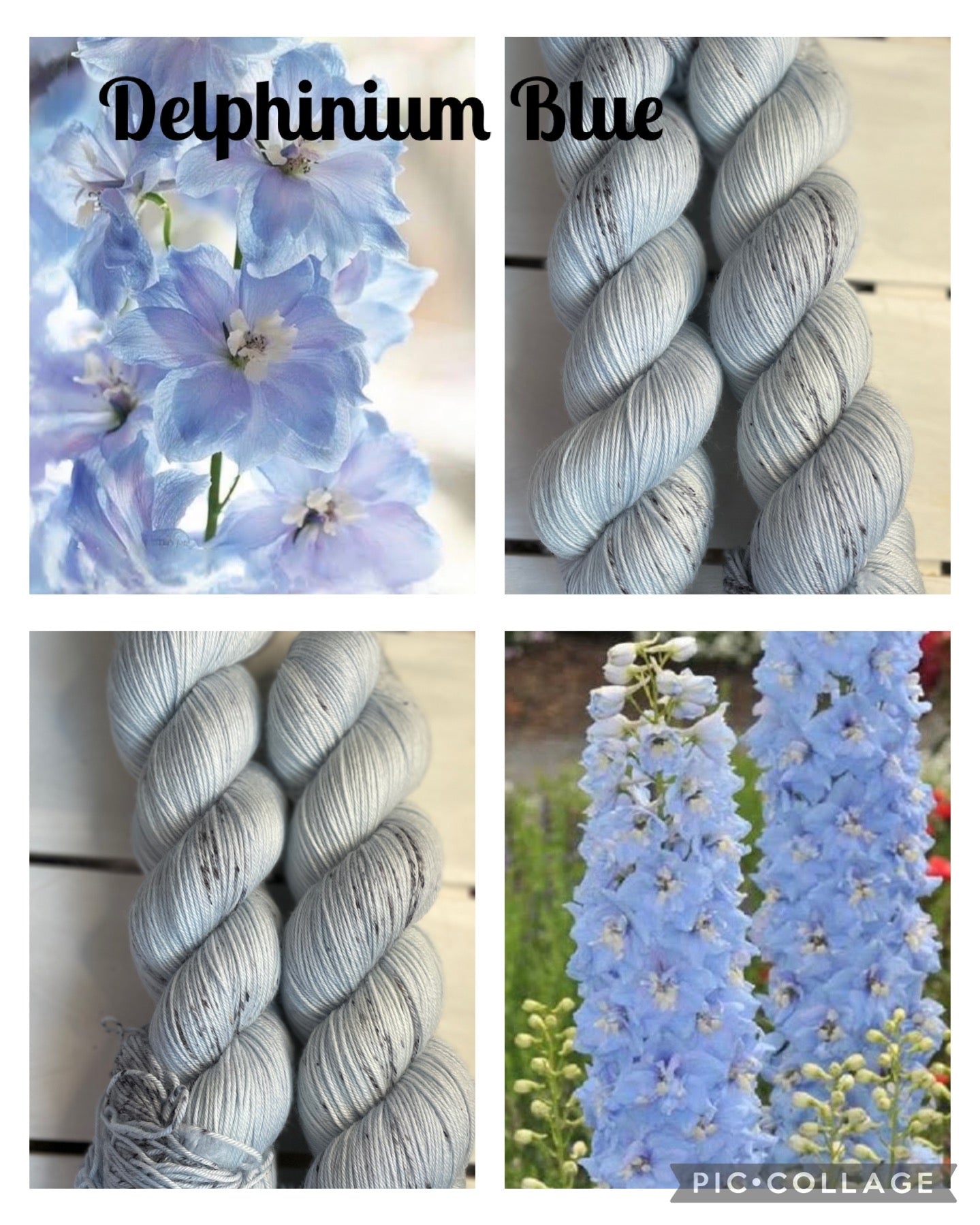 Delphinium Blue, super wash merino wool