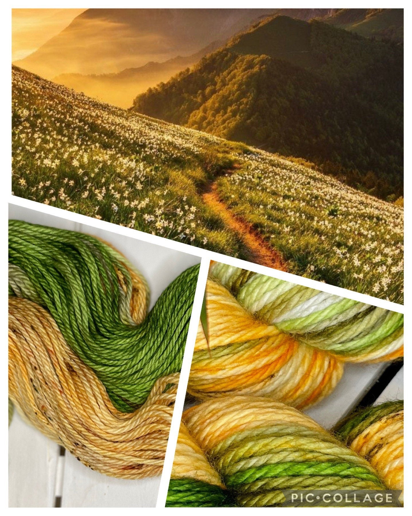 Mountain Meadows, bulky green and golden 100%superwash merino handdyed wool