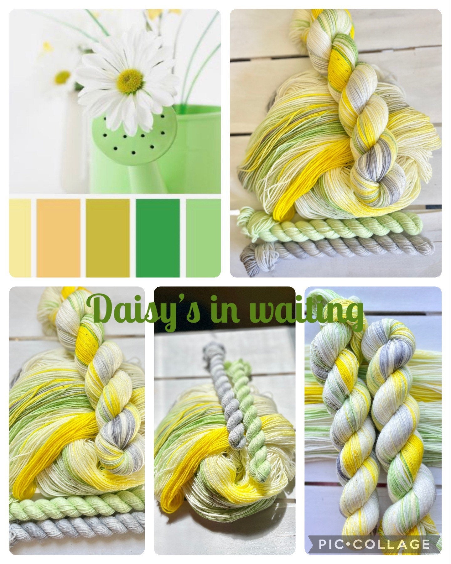 Daisy’s in Waiting, yellow, grey, green superwash merino wool