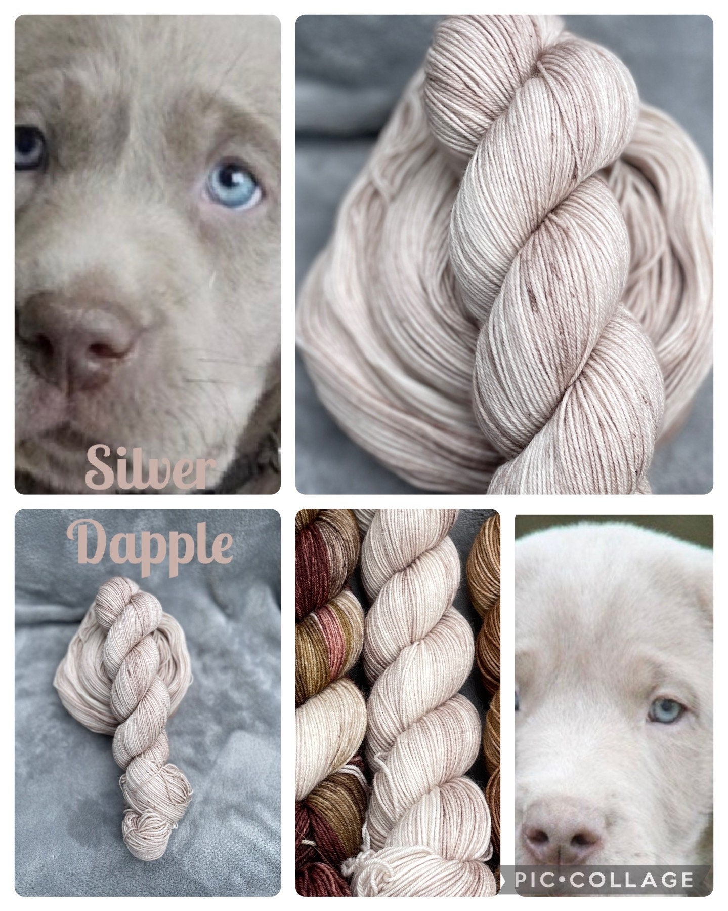 Silver Dapple, beige,grey,silver tones, superwash merino wool